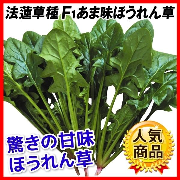 ホウレン草 種 野菜たね F1あま味ほうれん草 1袋 30ml 野菜のタネ 野菜 種子 ほうれん草の種 ほうれん草 法蓮草 ホウレンソウ タネ Ytc42 国華園 18n P6 0086 花と緑 国華園 通販 Yahoo ショッピング