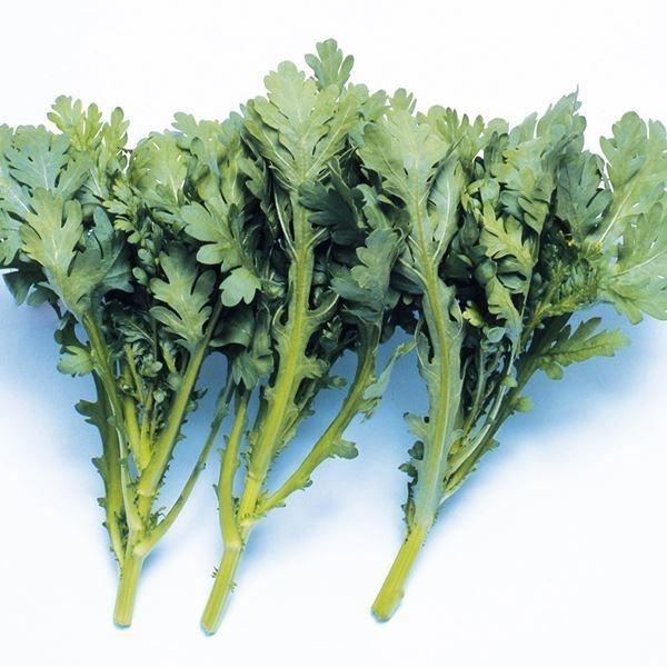 春菊 種 野菜たね 春菊 なべ奉行 1袋 30ml 野菜のタネ 野菜 種子 春菊
