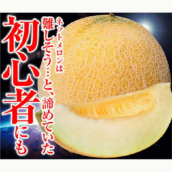 まめ　メロン① 北海道産】赤肉メロン 「くんねっぷメロン」1玉(1.8kg以上) 〈農家直送