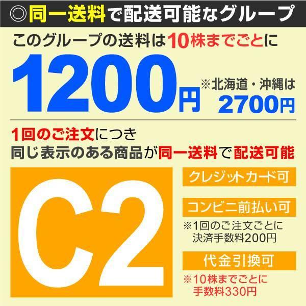 ラズベリー 苗 トゲなしラズベリーセット 2種2株 キイチゴ 木苺 木いちご 苗木 果樹苗 国華園 199 P9 0015 花と緑 国華園 通販 Yahoo ショッピング