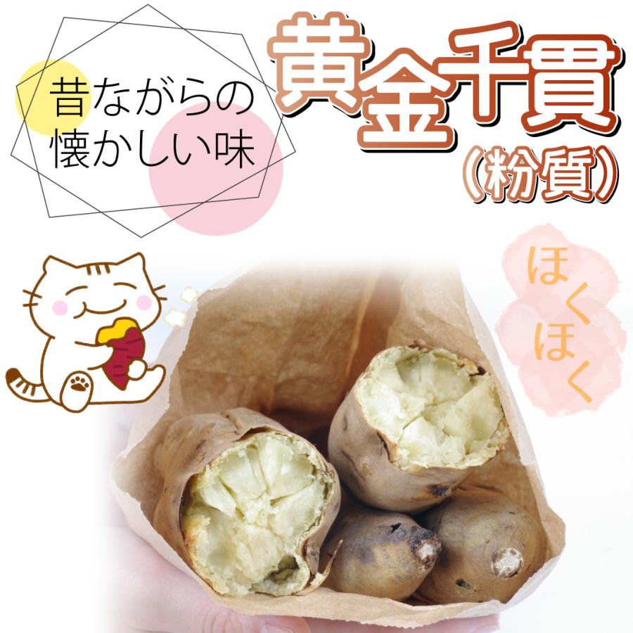 イモヅル 芋づる 黄金千貫50本 / さつまいもの苗 サツマイモの苗 家庭