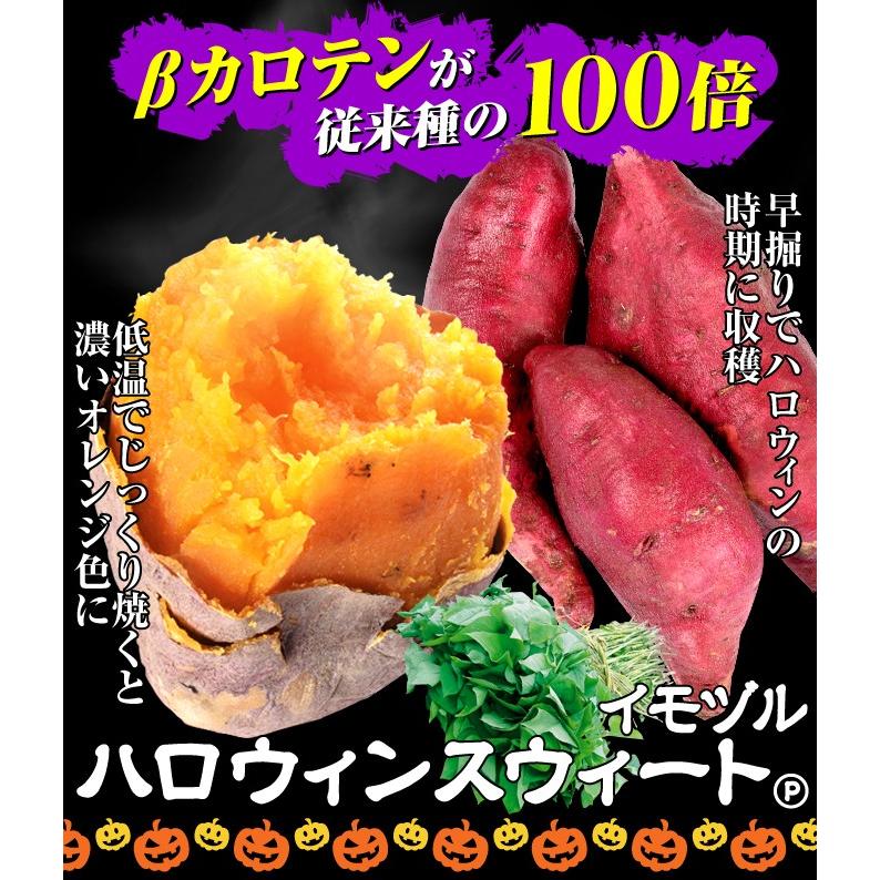 サツマイモ切苗 ハロウィンスウィート 100本 サツマイモ切苗 ハロウィンスウィート 100本 感謝価格】 Amazon