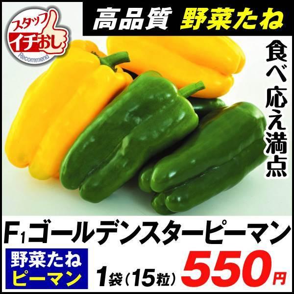花と緑 国華園 ピーマン シシトウ トウガラシ 野菜たね Yahoo ショッピング