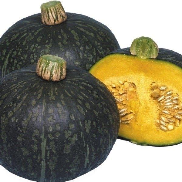 種 野菜たね カボチャ F1早生甘かぼちゃ 1袋 5ml 野菜のタネ 野菜 種子 カボチャ 南瓜 なんきん Ytc125 国華園 P6 0179 花と緑 国華園 通販 Yahoo ショッピング