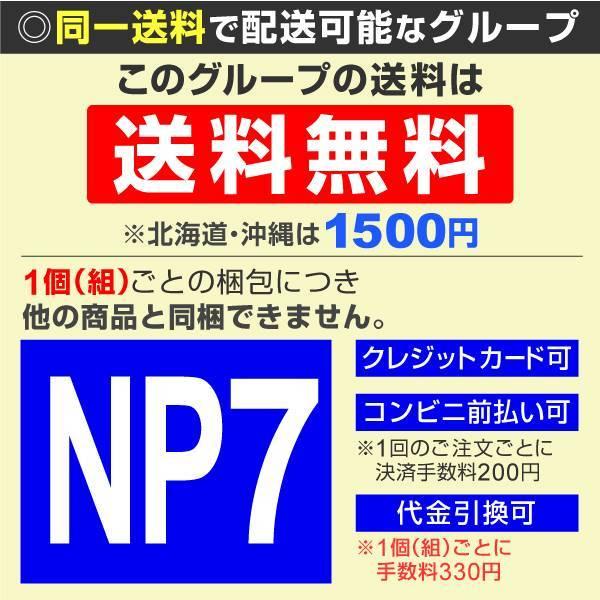 インパチェンス ケース販売 1ケース40株入り 送料無料 花苗 苗木大特価|kokkaen|03