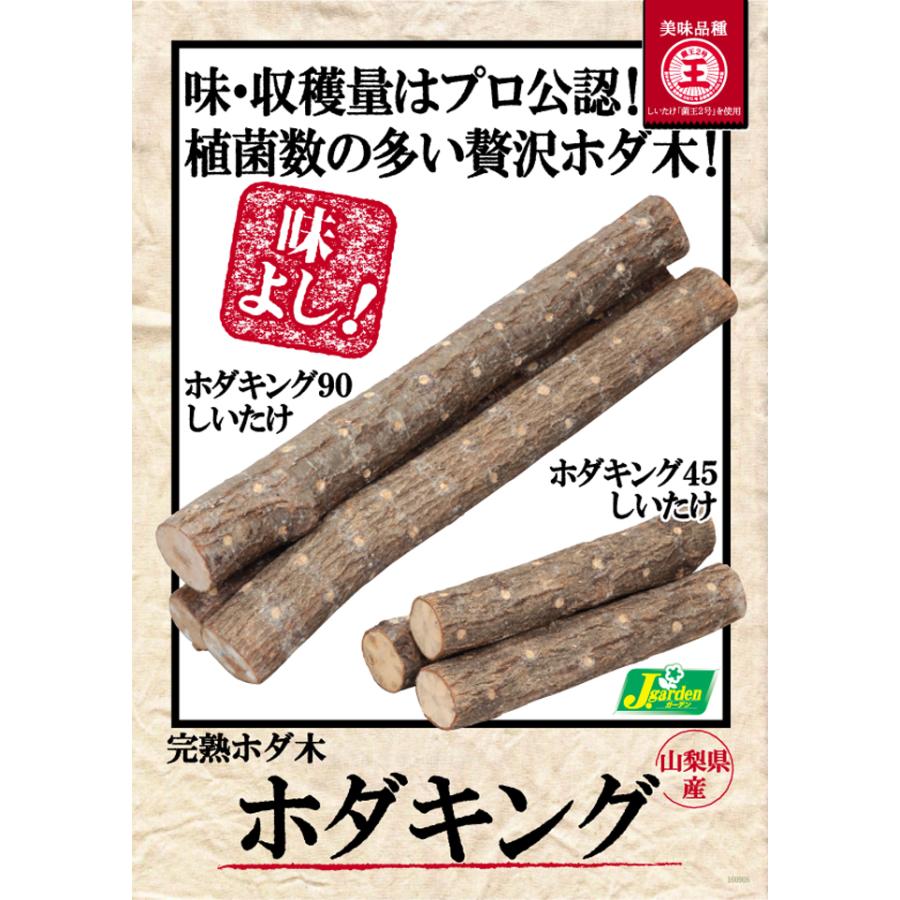 しいたけホダ木　チューリップ4種 有用植物苗 しいたけ 完熟ホダ木 ホダキングしいたけ 90cm 1本 / 家庭