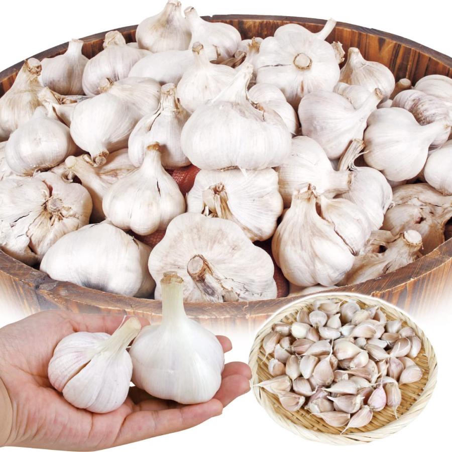 国華園 ニンニク 種球 嘉定ニンニク（バラ）（中国産） 500g 送料込み