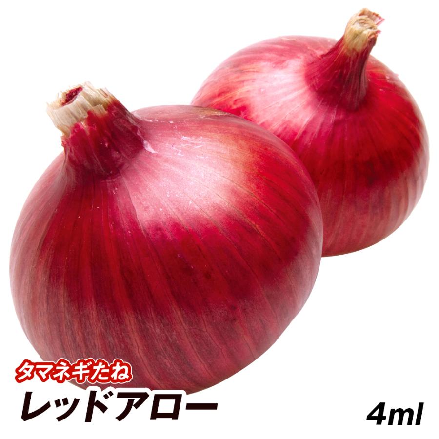 即納最大半額 タマネギ 種 野菜たね レッドアローpvp 1袋 4ml 野菜のタネ