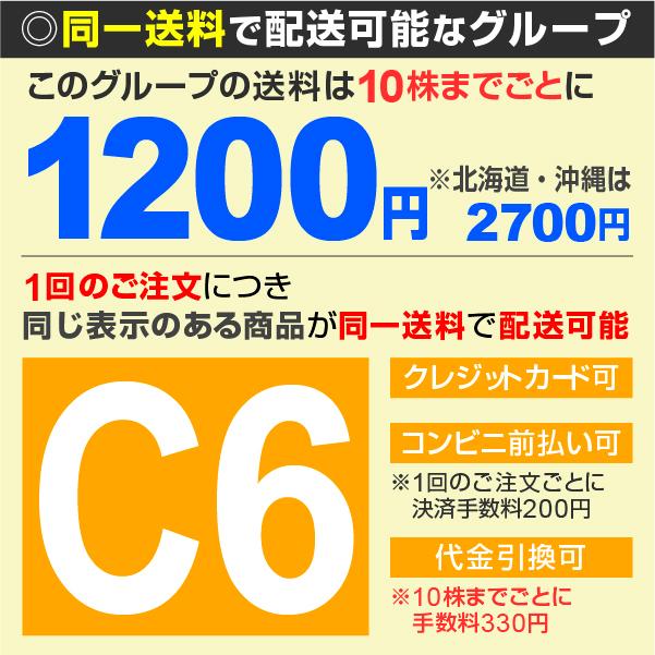 85%OFF!】 ブリザード 国華園 ハスカップ 1株 ボレアル 果樹苗 ハスカップの木 苗木 85%OFF!】 ブリザード 国華園 ハスカップ 1株 ボレアル 果樹苗 ハスカップの木 苗木