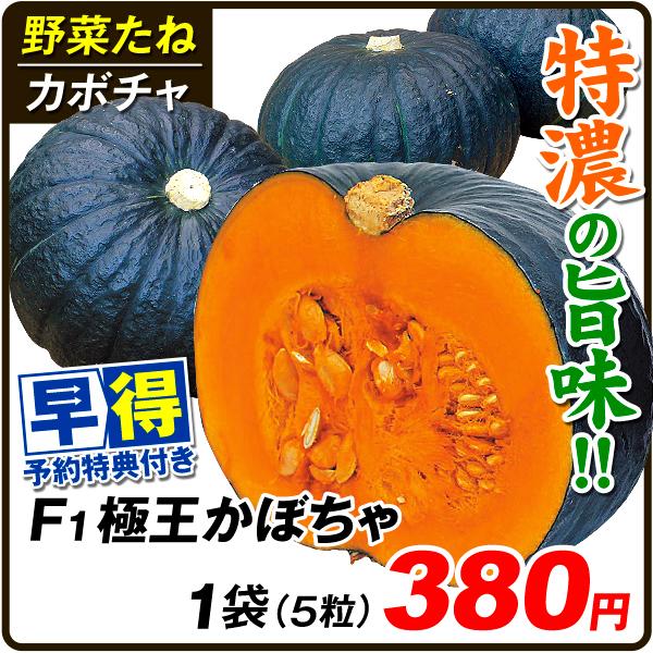 種 早得対象商品 カボチャ F1極王かぼちゃ 1袋 5粒 送料グループ 早得たね 21 10p6 0002 花と緑 国華園 通販 Yahoo ショッピング