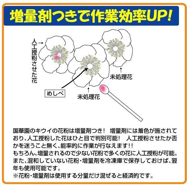 国華園 果樹苗 果樹資材 キウイの花粉+増量剤＆ボンテン 1組 送料無料