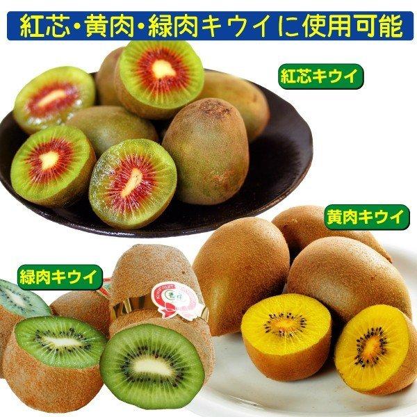 果樹苗 果樹資材 キウイの花粉+増量剤＆ボンテン 1組 送料無料 : 花と