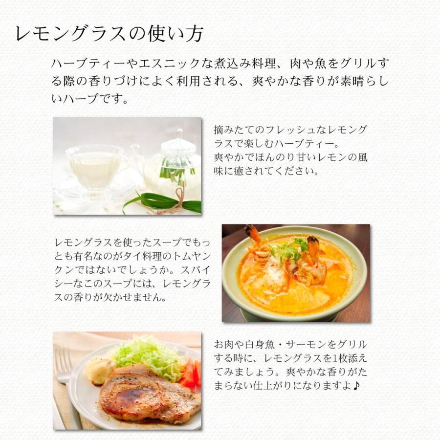 ハーブ 苗 鉢植え レモングラス バジル ペパーミント 4号鉢 3種3鉢 受皿付 野菜苗 セット 国華園 21 Pori 0652 花と緑 国華園 通販 Yahoo ショッピング