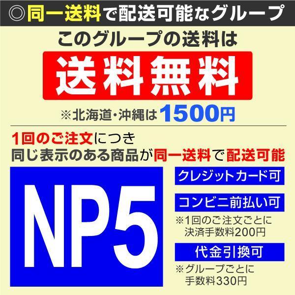 サボテン 品種おまかせ ミニサボテン（20株）アソート セット set/観葉植物 花苗 苗木 おしゃれ インテリア 室内 こっかえん 国華園｜kokkaen｜03