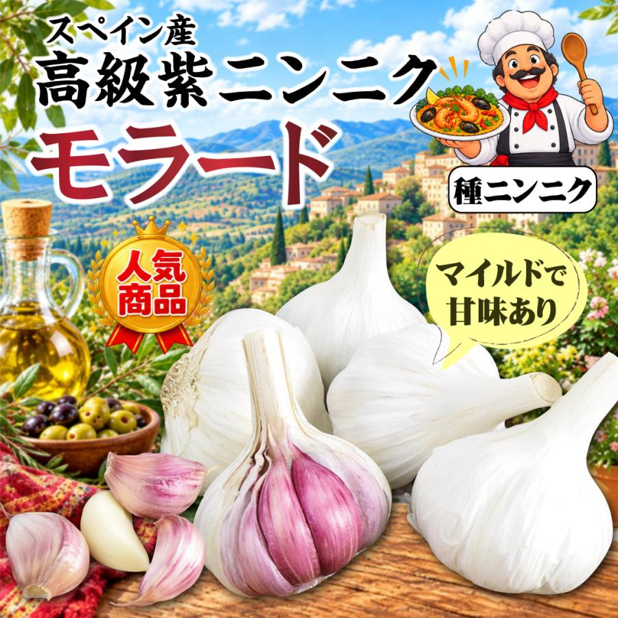 新鮮なにんにく（白と紫）3kg 国華園 ニンニク 種球 スペイン産紫ニンニク モラード 1kg / にんにく
