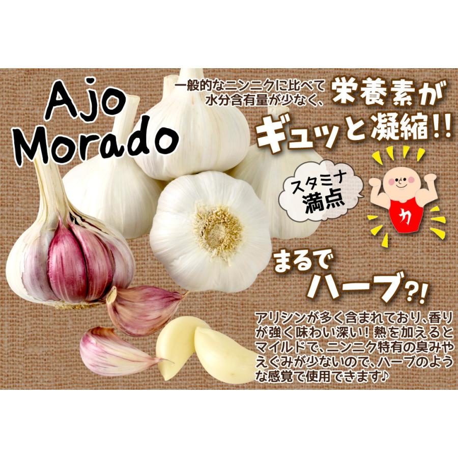 ニンニク 種球 スペイン産紫ニンニク モラード 1kg / にんにく