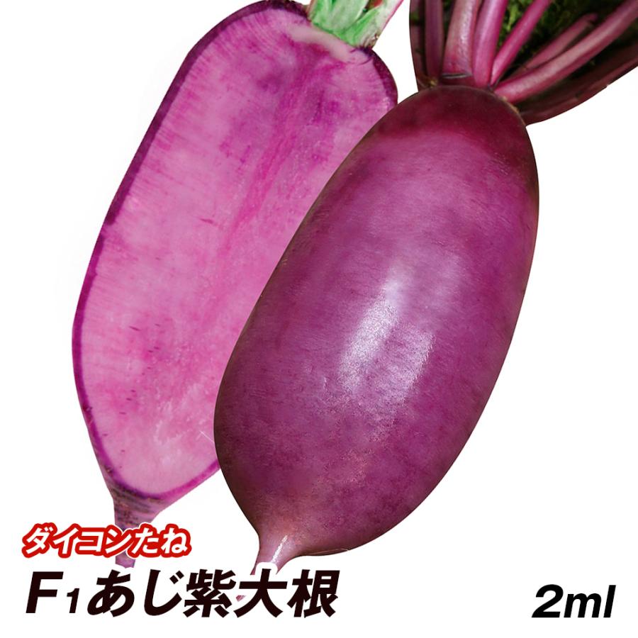 ラッピング 大根 ダイコン タネ F1あじ紫大根 1袋 2ml 種 野菜たね Ytc06 Whitesforracialequity Org