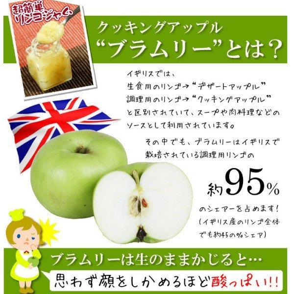 国華園 果樹苗 リンゴ ブラムリー 1株 : 花と緑 国華園 - 通販 - Yahoo