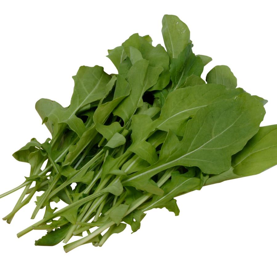 種 野菜たね ハーブ ロケット（ルッコラ） 1袋（4ml） 野菜の種 国華園