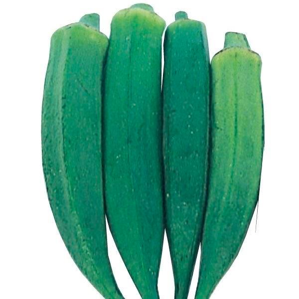 オクラ 種 野菜たね 露地抑制栽培 オクラ 1袋 10ml 野菜のタネ 野菜 種子
