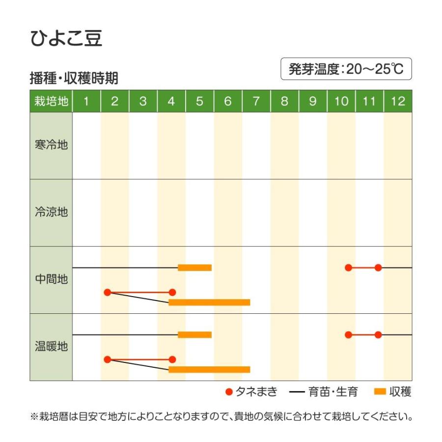 送料無料/新品送料無料/新品ひよこ豆 種 たね 1袋(30ml) ヒヨコマメ 野菜たね YTC103 根菜、豆類、もやし ひよこ豆 種 たね 1袋(30ml) ヒヨコマメ 野菜たね YTC103