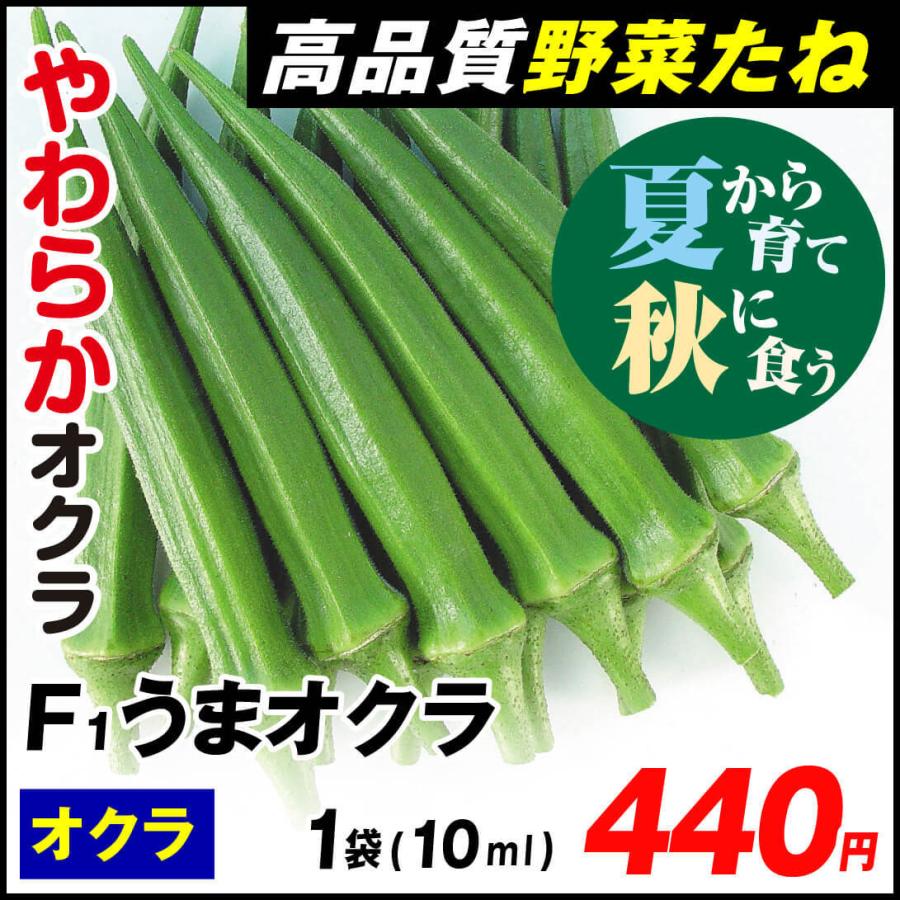 日本産 オクラ 種 野菜たね 露地抑制栽培 F1うまオクラ 1袋 10ml 野菜