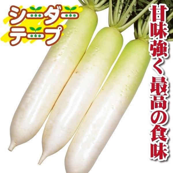 超特価SALE開催! 大根 種 3ml 野菜 野菜種子 野菜種 ダイコン 種 たね F1冬あま 1袋(5ml) 大根 野菜たね YTC07