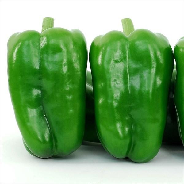 ピーマン たね 種 F1グリーンスターズ 1袋 8粒 野菜たね 野菜のタネ 野菜 種子 ぴーまん Ytc123 国華園 22 P6 0007 花と緑 国華園 通販 Yahoo ショッピング