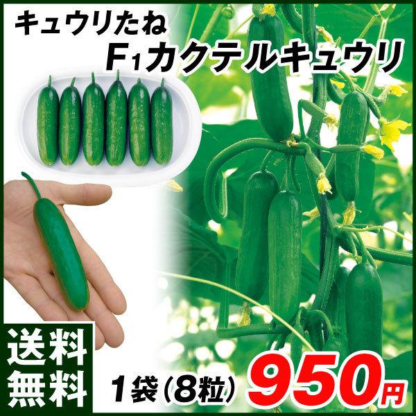 往復送料無料 種 野菜たね キュウリ F1カクテルキュウリ 1袋 8粒 往復送料無料 種 野菜たね キュウリ F1カクテルキュウリ 1袋 8粒