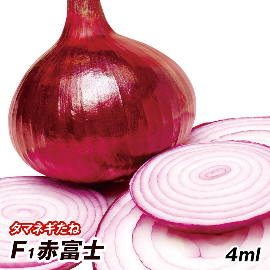 種 野菜たね タマネギ （中晩生）F1赤富士 1袋（4ml） 赤玉 赤たまねぎ