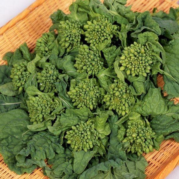 花菜 はなな タネ 菜類 F1春祭り 1袋 5ml 種 野菜たね Ytc62 22n P6 0070 花と緑 国華園 通販 Yahoo ショッピング