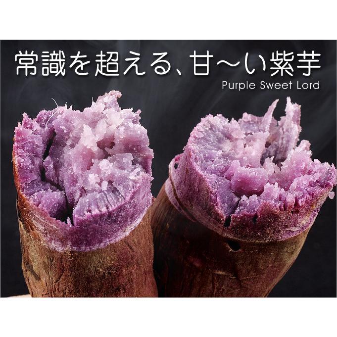 国華園 イモヅル 芋づる 定番さつまいもイモヅルセット3種600本(各200