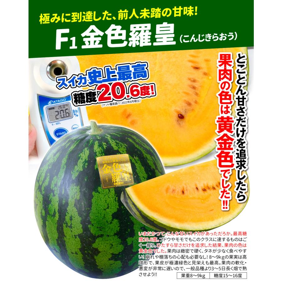 接木野菜苗 大玉スイカ ほっぺが落ちる羅皇スイカセット 2種4株 西瓜