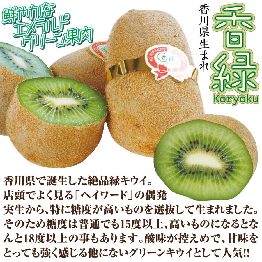 果樹苗 キウイ 香緑（メス木） 1株 : 花と緑 国華園 - 通販 - Yahoo