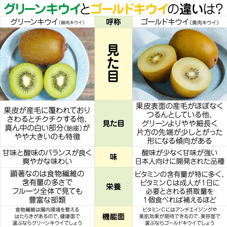 果樹苗 キウイ 香緑（メス木） 1株 : 花と緑 国華園 - 通販 - Yahoo