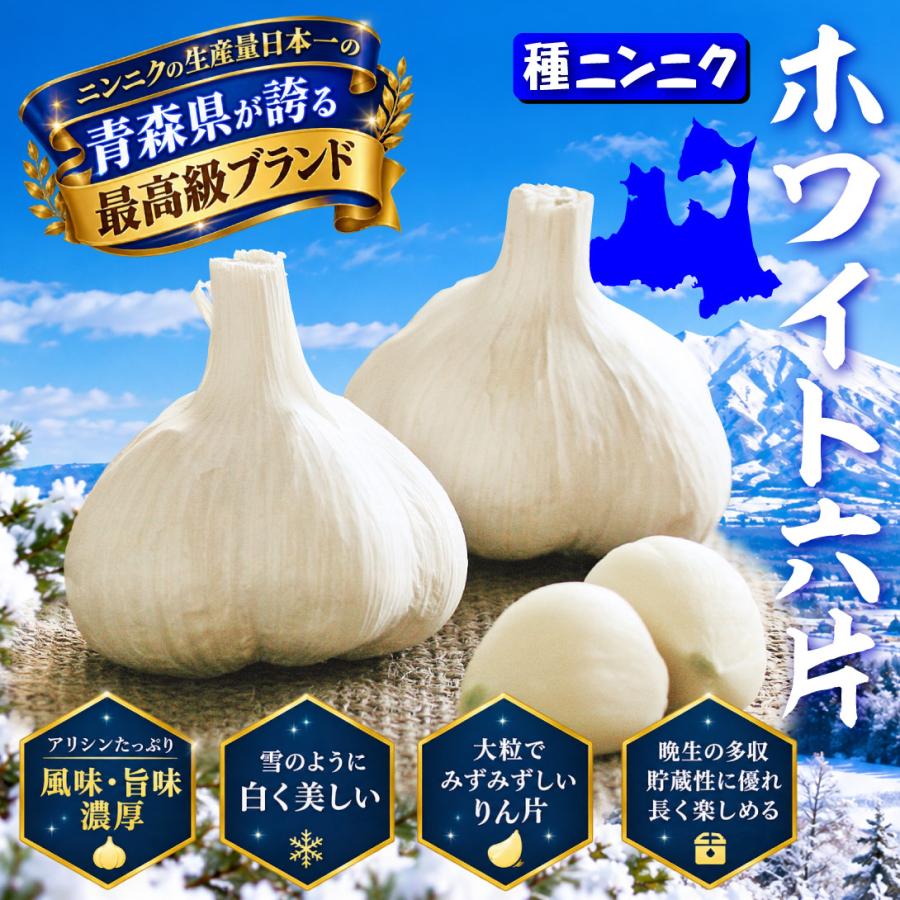 国華園 ニンニク種球 ホワイト六片 (種球・青森産) 5kg / にんにく