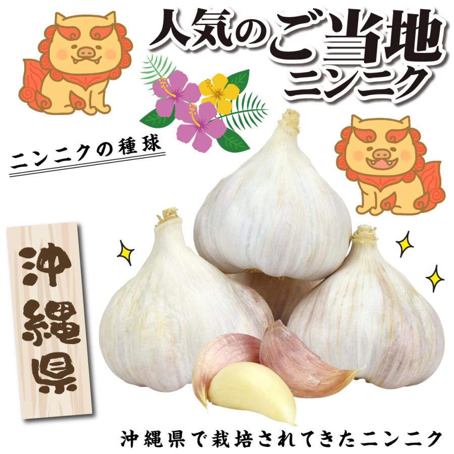希少 極旨赤 にんにく 珍しい 貴重 レア 珍種 美味 辛い 旨い 入手難