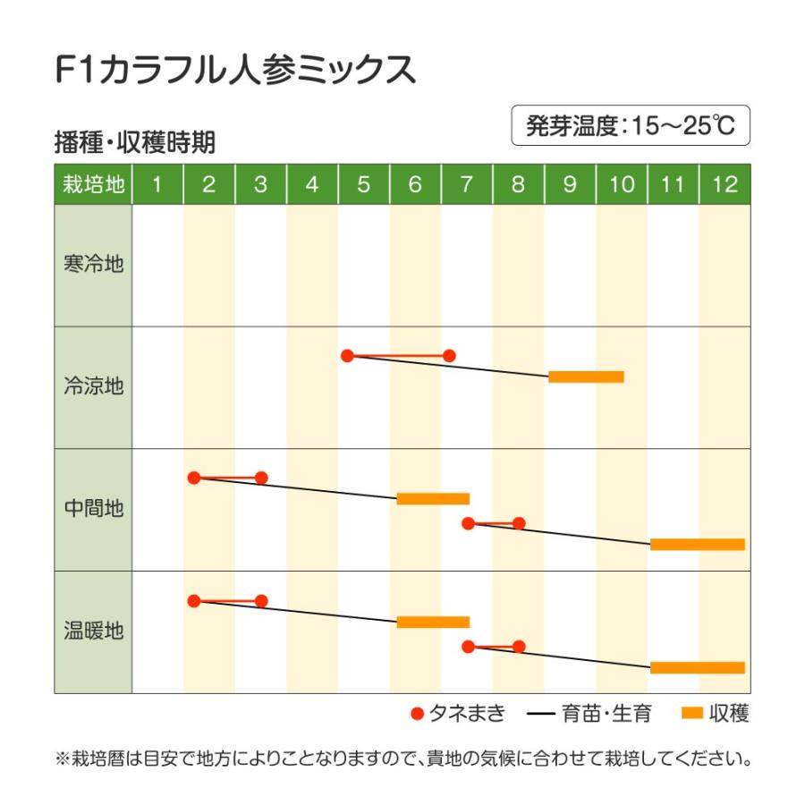 人参 種 野菜たね F1カラフル人参5色ミックス 1袋（100粒・生種） にんじん やさいたね 国華園 こっかえん｜kokkaen｜04