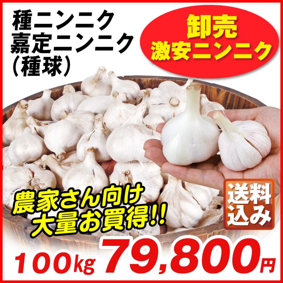 ニンニク 種球 嘉定ニンニク (種球) (中国産) 100kg 送料込み  