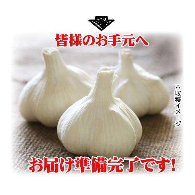 ニンニク 種球 ホワイト六片 バラ (青森産) 500g 送料込み
