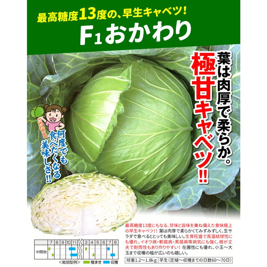 国華園 種 野菜たね キャベツ F1おかわり 1袋（1ml） 甘藍 やさいの種