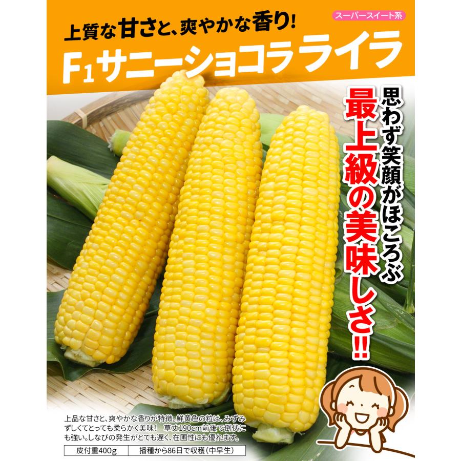 早期予約販売たね）種 野菜たね トウモロコシ F1サニーショコラ ライラ