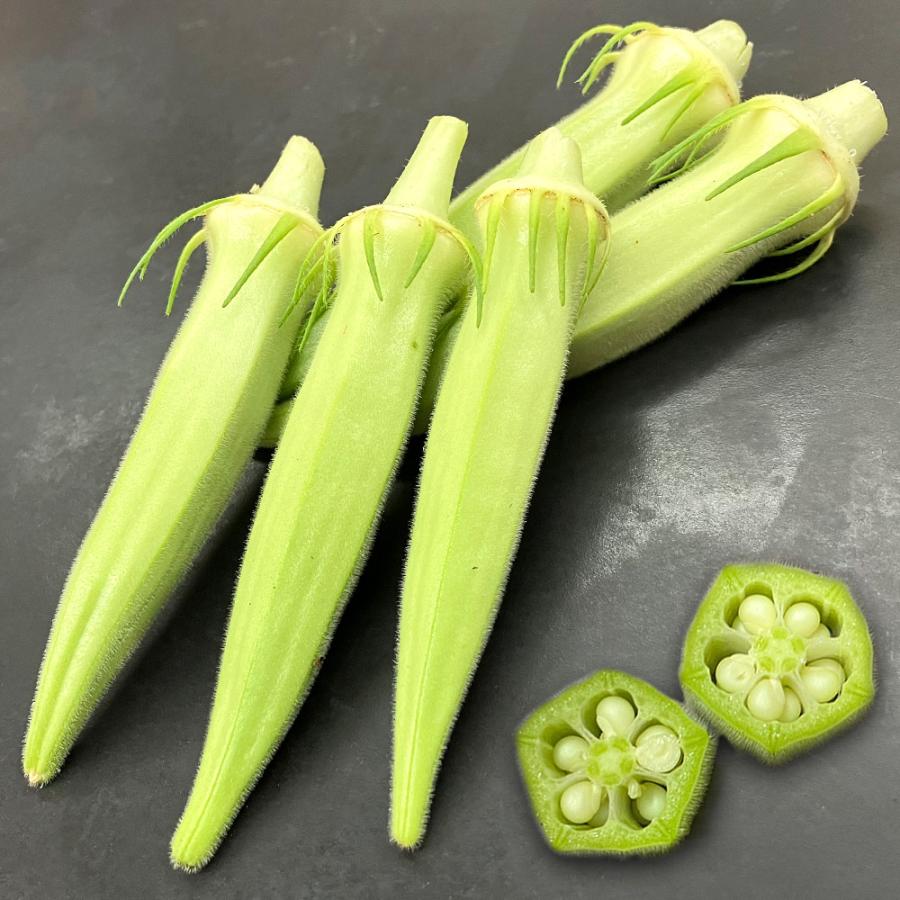 種 野菜たね オクラ F1白いパラソル 1袋（5ml） やさいの種 国華園