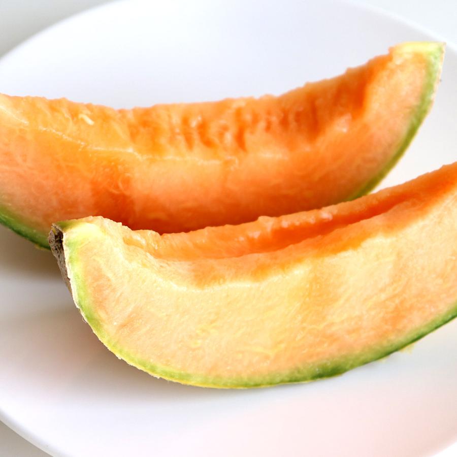 種 野菜たね メロン F1おてがるサンセット 1袋（7粒） 西瓜 やさいの種