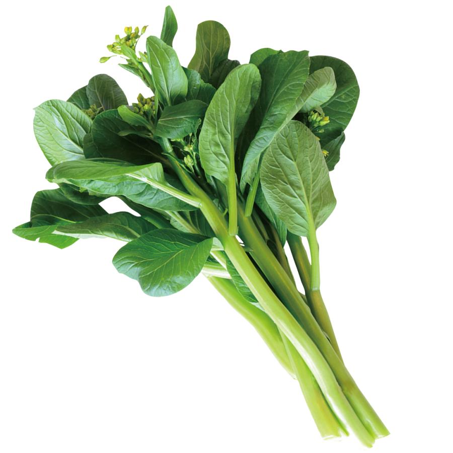 種 野菜たね 健康野菜 F1シェイシェイ 1袋（5ml） やさいの種 国華園