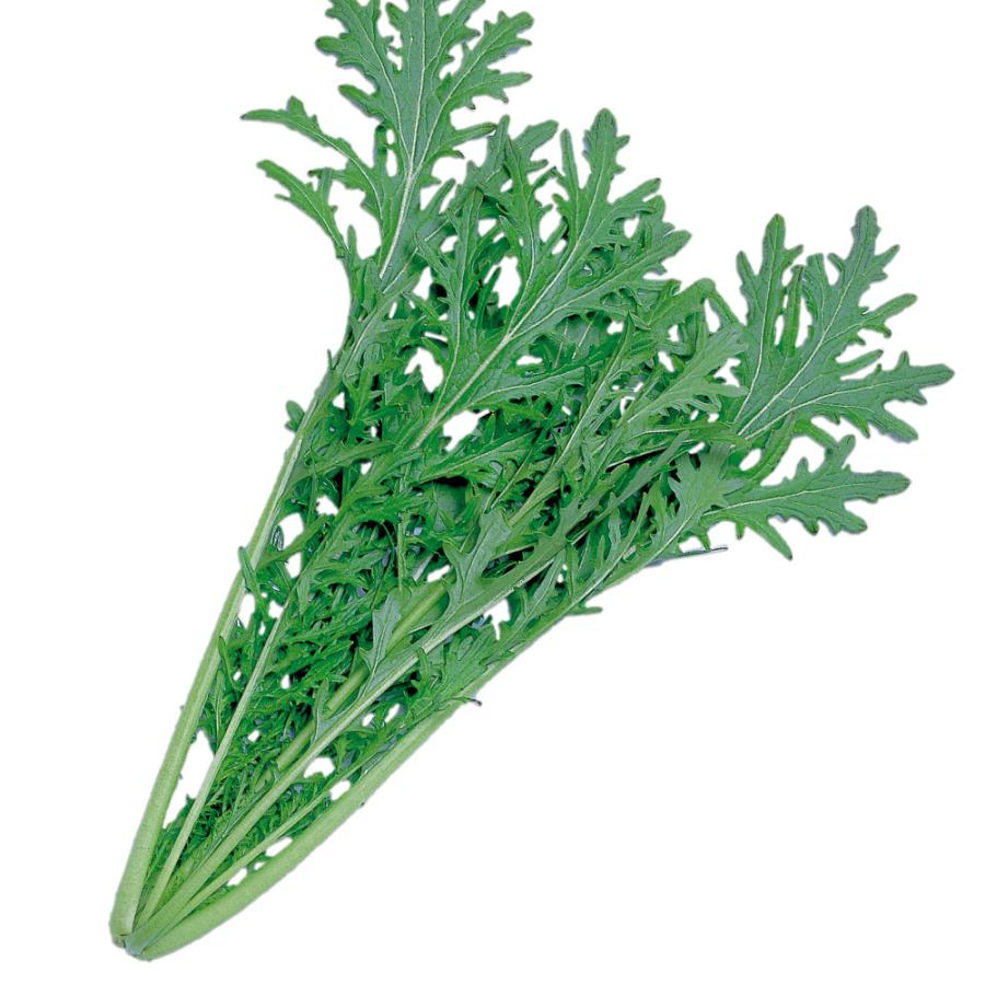 種 野菜たね 健康野菜 リアスからし菜 1袋（5ml） やさいの種 国華園