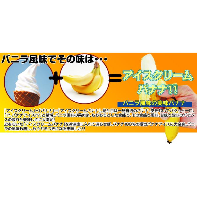 バナナ 寒さに強いバナナセット 2種2株 アイスクリームバナナ ドワーフ