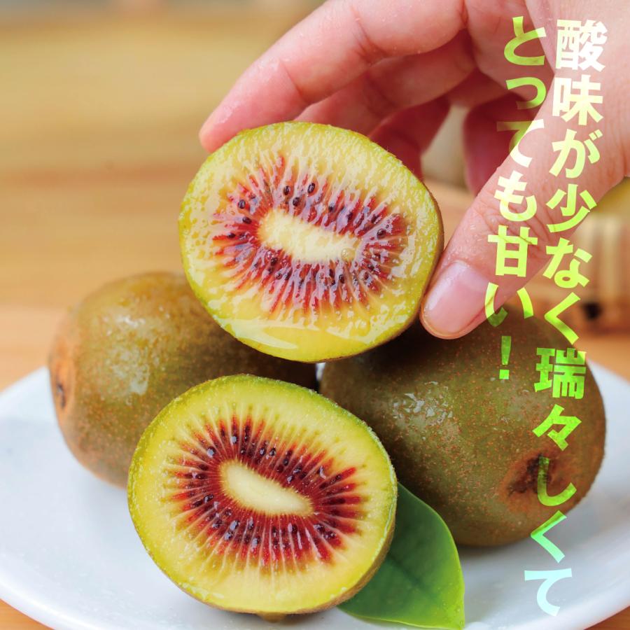 国華園 果樹苗 キウイ ジャンボレッド＆早雄(紅芯用オス木) 2種2株