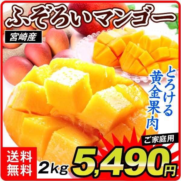 食品 宮崎産 ふぞろいアップルマンゴー 2kg 1組 南国フルーツ 国華園 F 花と緑 国華園 通販 Yahoo ショッピング