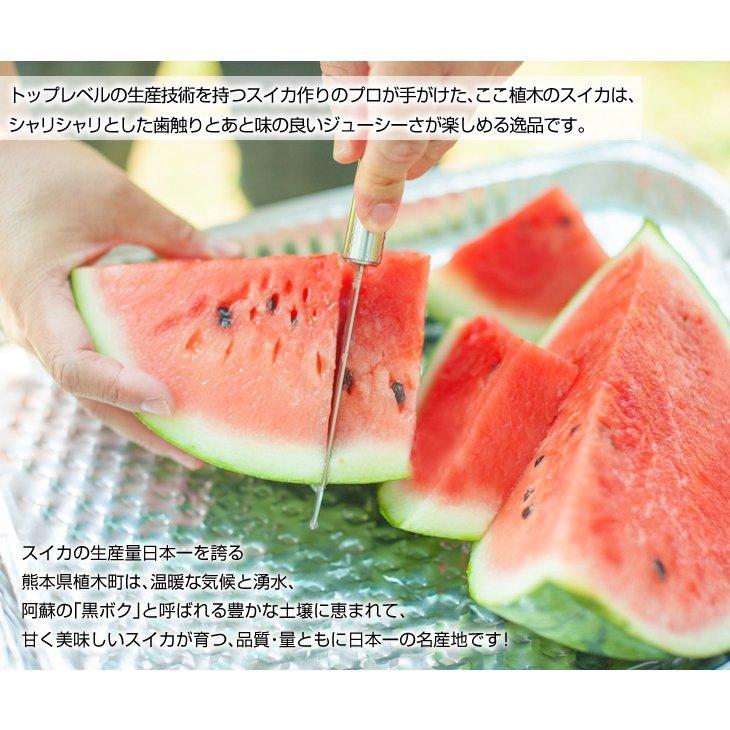 すいか 熊本産 大玉すいか 1玉 1箱 送料無料 食品 国華園 F 花と緑 国華園 通販 Yahoo ショッピング